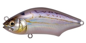 メガバス　福袋　シークレットカラー　HADARA TRAP HADARA TRAP ローリングチャートシークレット | Megabass - メガバス
